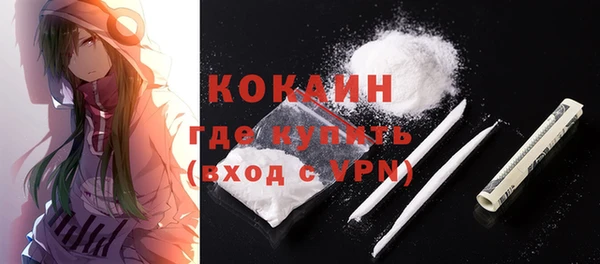ПСИЛОЦИБИНОВЫЕ ГРИБЫ Новосибирск