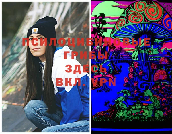 МДПВ Козельск