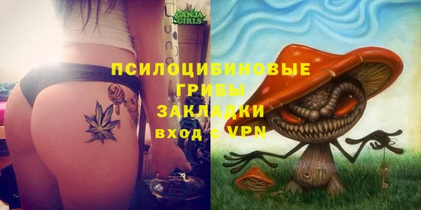 прущие крисы Козловка