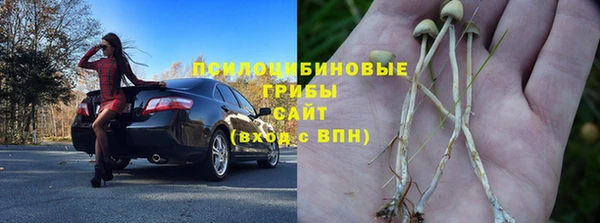 МДПВ Козельск