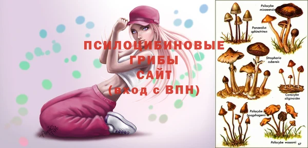 хмурый Ессентукская