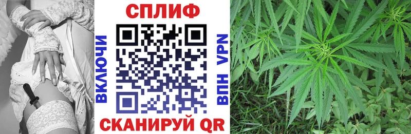 площадка наркотические препараты  Камешково  Бошки марихуана White Widow 